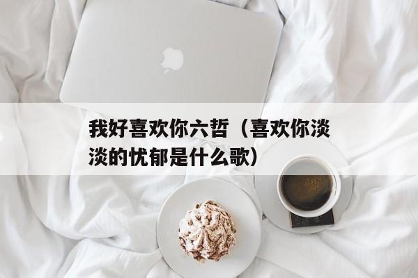 我好喜欢你六哲（喜欢你淡淡的忧郁是什么歌）