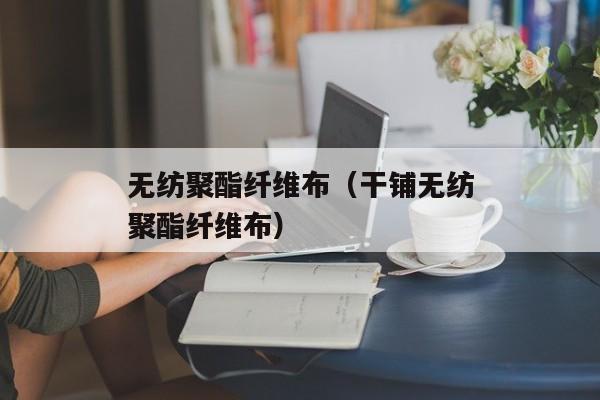 无纺聚酯纤维布（干铺无纺聚酯纤维布）