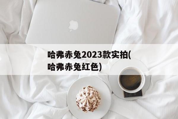 哈弗赤兔2023款实拍(哈弗赤兔红色)