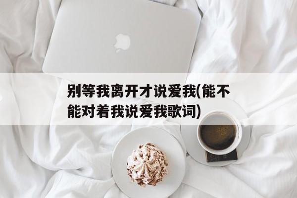 别等我离开才说爱我(能不能对着我说爱我歌词)