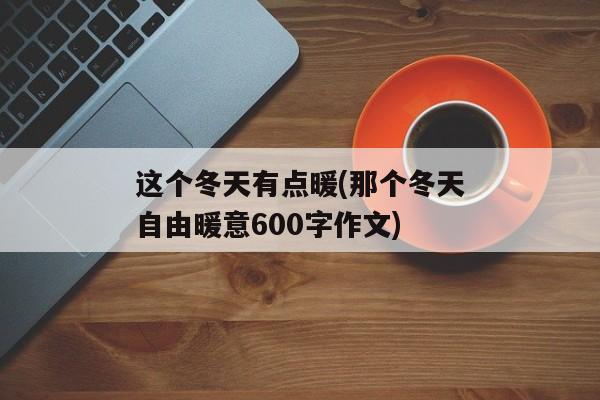 这个冬天有点暖(那个冬天自由暖意600字作文)