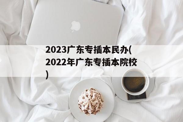 2023广东专插本民办(2022年广东专插本院校)