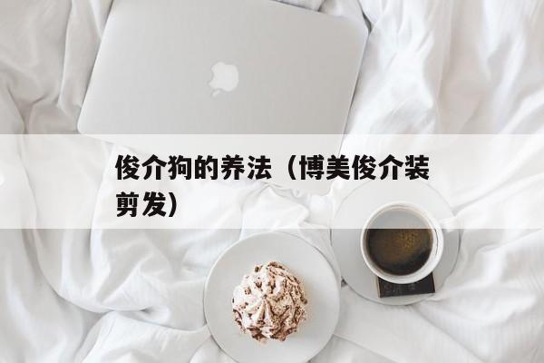 俊介狗的养法（博美俊介装剪发）