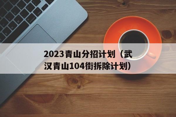 2023青山分招计划（武汉青山104街拆除计划）