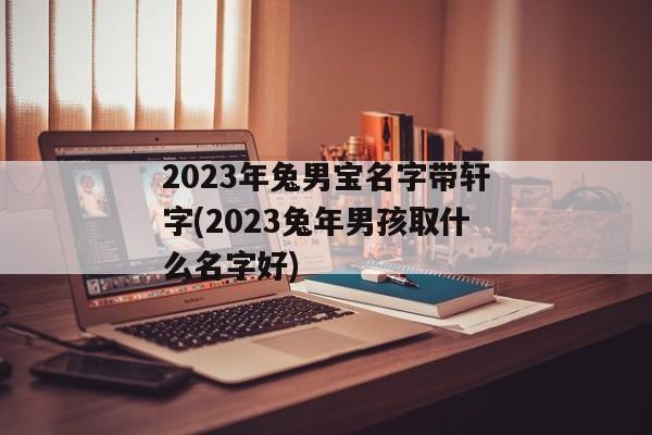 2023年兔男宝名字带轩字(2023兔年男孩取什么名字好)