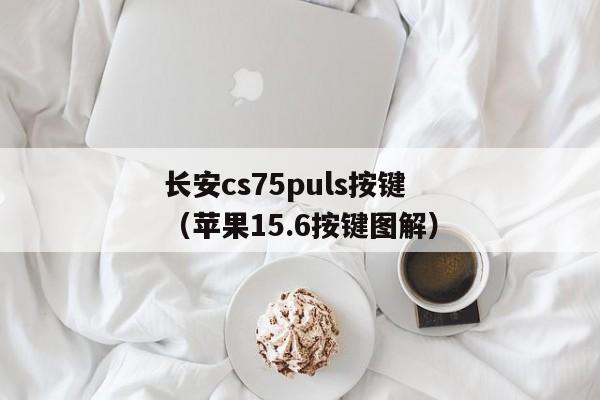 长安cs75puls按键（苹果15.6按键图解）