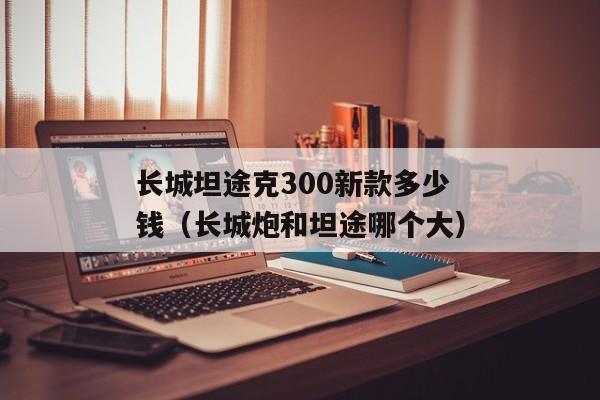 长城坦途克300新款多少钱（长城炮和坦途哪个大）