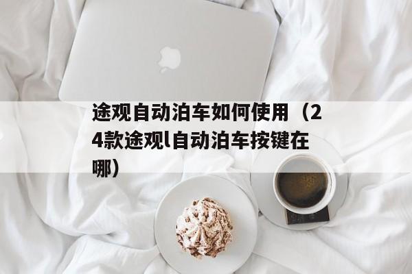 途观自动泊车如何使用（24款途观l自动泊车按键在哪）