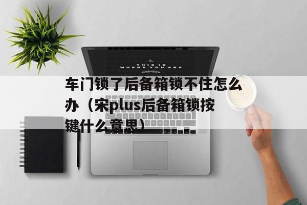 车门锁了后备箱锁不住怎么办（宋plus后备箱锁按键什么意思）