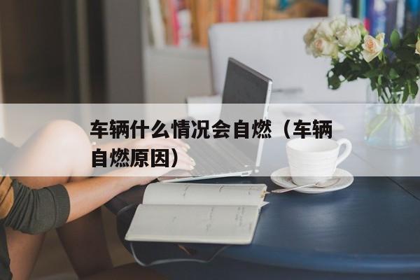 车辆什么情况会自燃（车辆自燃原因）