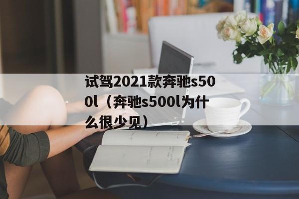 试驾2021款奔驰s500l（奔驰s500l为什么很少见）