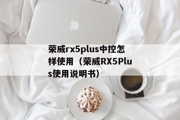 荣威rx5plus中控怎样使用（荣威RX5Plus使用说明书）