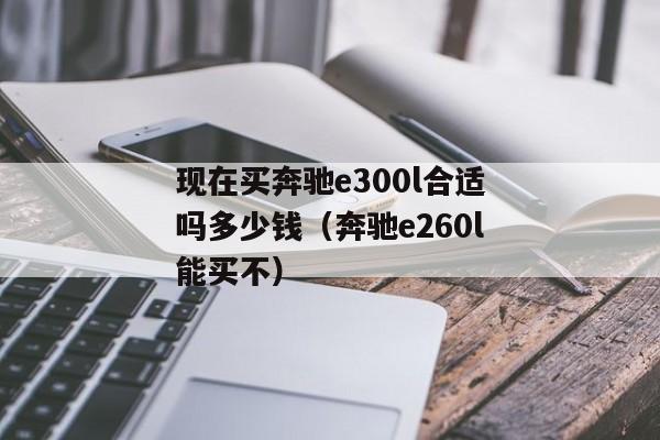 现在买奔驰e300l合适吗多少钱（奔驰e260l能买不）