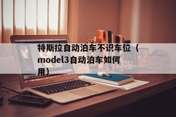 特斯拉自动泊车不识车位（model3自动泊车如何用）