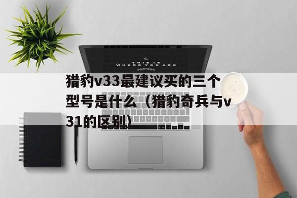 猎豹v33最建议买的三个型号是什么（猎豹奇兵与v31的区别）