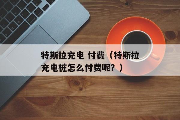 特斯拉充电 付费（特斯拉充电桩怎么付费呢？）