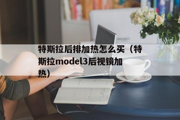 特斯拉后排加热怎么买（特斯拉model3后视镜加热）