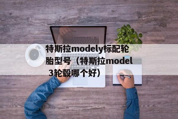 特斯拉modely标配轮胎型号（特斯拉model 3轮毂哪个好）