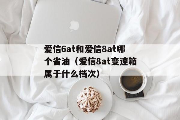 爱信6at和爱信8at哪个省油（爱信8at变速箱属于什么档次）