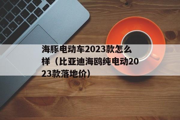 海豚电动车2023款怎么样（比亚迪海鸥纯电动2023款落地价）