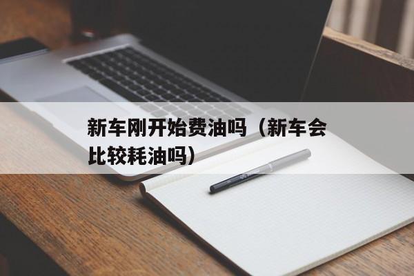 新车刚开始费油吗（新车会比较耗油吗）