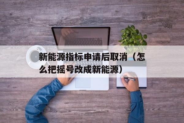 新能源指标申请后取消（怎么把摇号改成新能源）